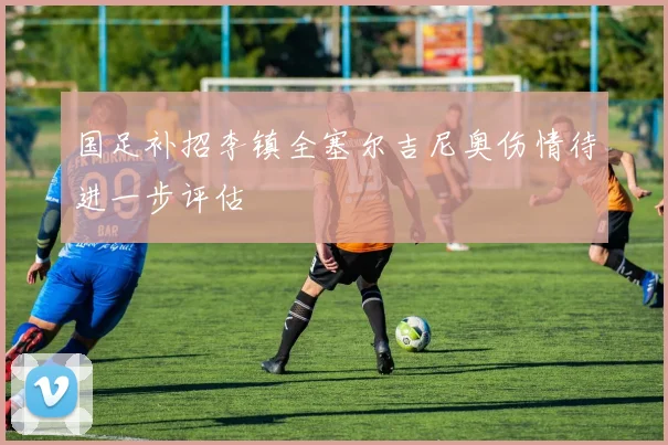 国足补招李镇全塞尔吉尼奥伤情待进一步评估